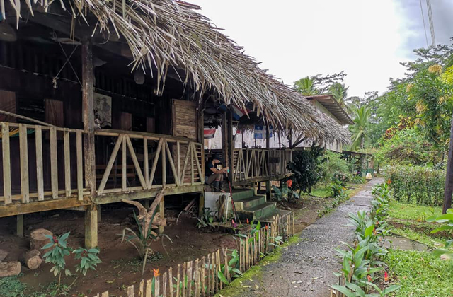 Tapir Lodge